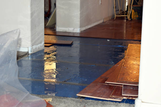 Professional Burst Pipe Cleanup technician working in Willis, TX
