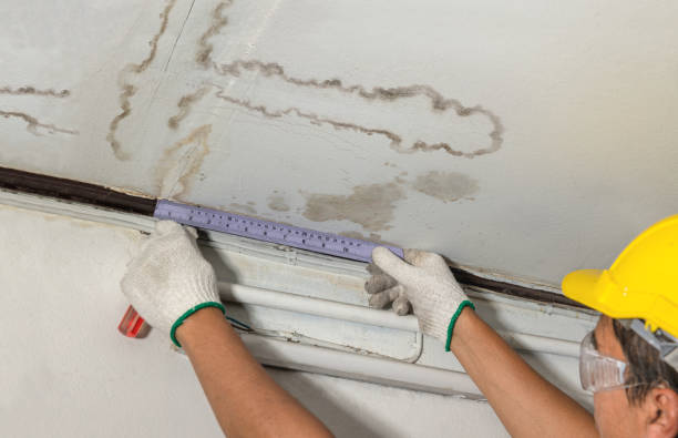 Reliable Burst Pipe Cleanup contractor in Willis, TX by Local Water Damage Repair